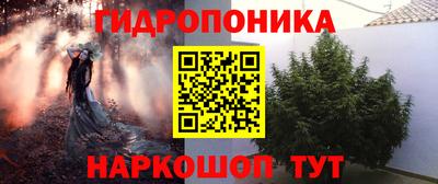 мдма Камышлов