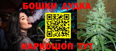 МДПВ Кандалакша