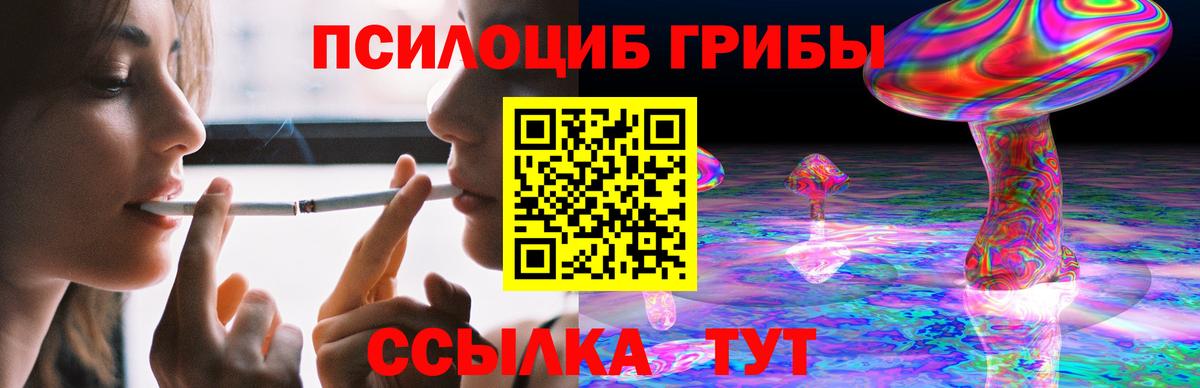 Галлюциногенные грибы Psilocybine cubensis  Псилоцибиновые грибы GOLDEN TEACHER  Клин  Вход с VPN 